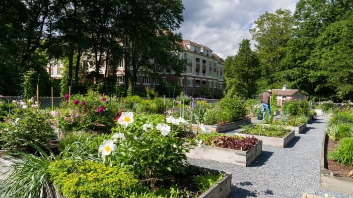 Residents tending to a community garden with vibrant flowers.