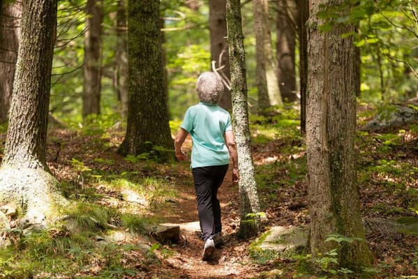 A resident walking on a forest trail