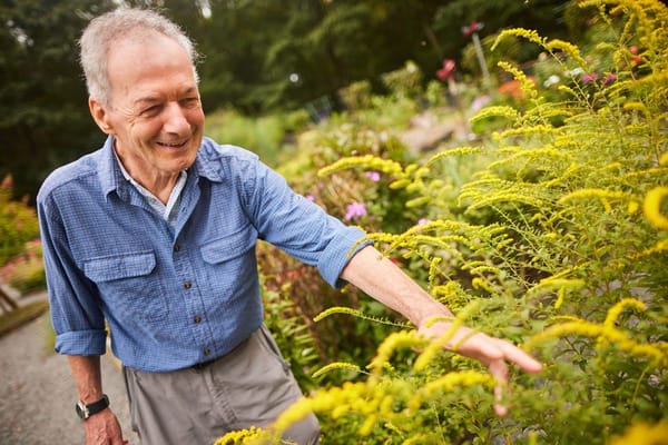 A senior man enjoying a garden filled with flowers