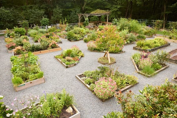 Beautifully landscaped garden area with various plants