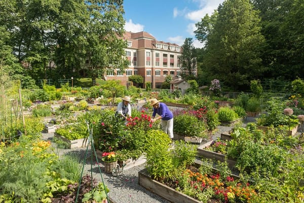 Residents gardening in a vibrant community garden