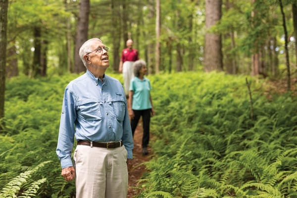 Seniors enjoying a nature walk in a wooded area