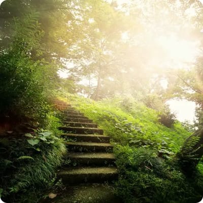 Legacy Home Health Agency