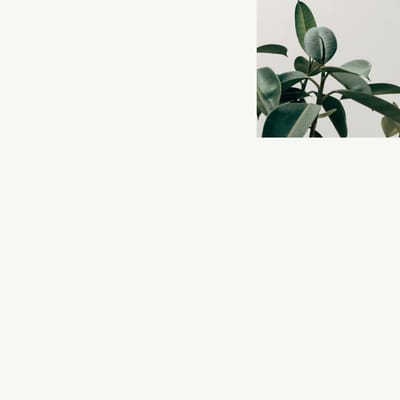 Love & Care Assisted Living