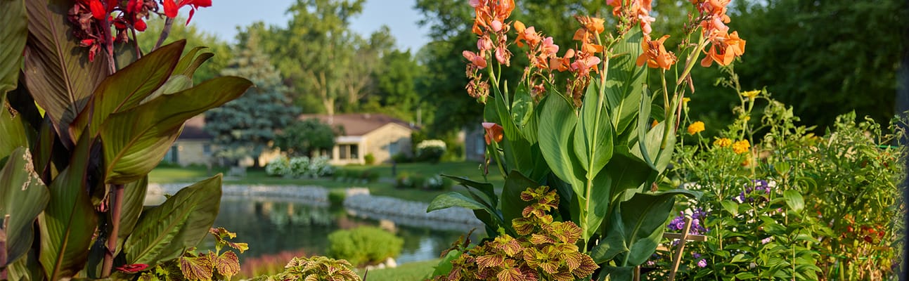 Vibrant flowers near a serene pond at the facility