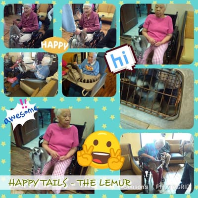 Residents interacting with animals in a common area