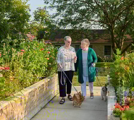 Two residents walking dogs in a garden