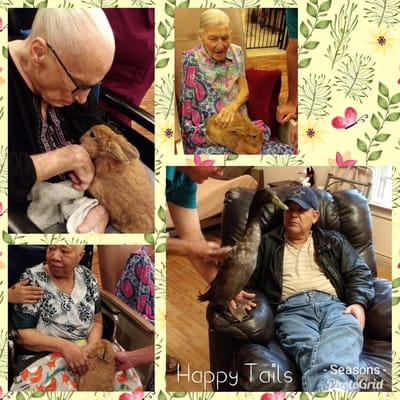 Residents interacting with animals in a communal space