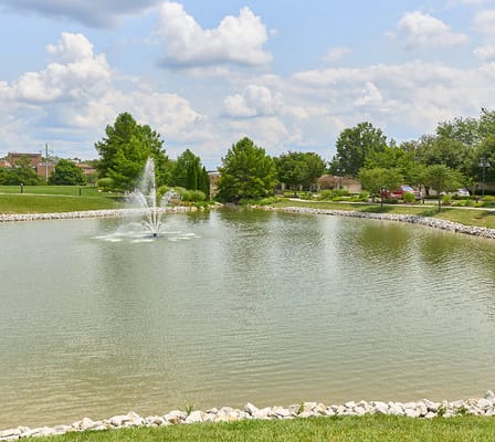 Scenic view of a pond with a fountain and trees