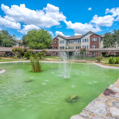 A serene outdoor pond surrounded by greenery and buildings