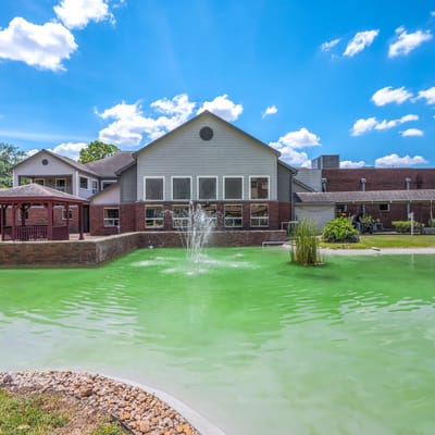 Exterior view of a serene outdoor space with pond