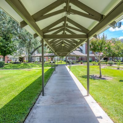 Pathway leading through a landscaped garden area