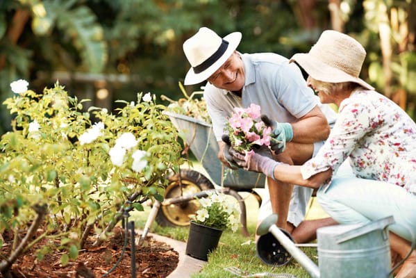 Residents gardening in a sunny outdoor area