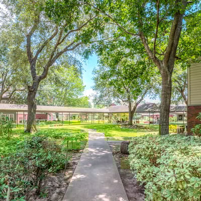 Pathway through a green outdoor space in the facility