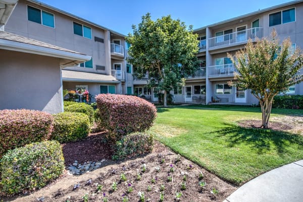 Well-maintained garden and courtyard view at The Hampshire