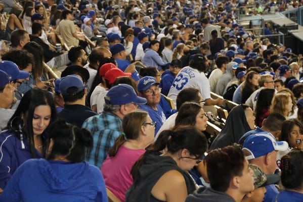 PALS Supported Living Services