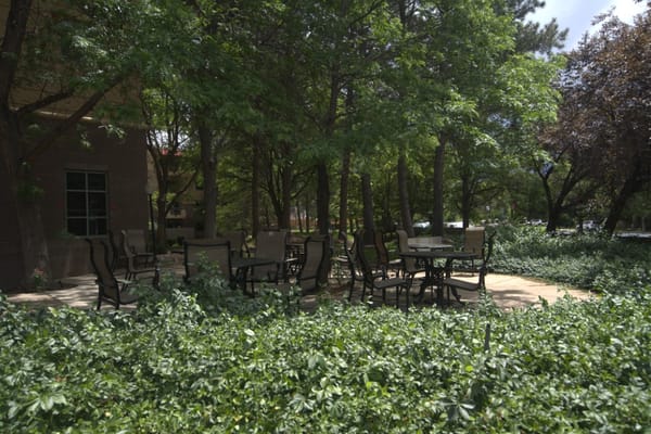 Outdoor seating area surrounded by greenery