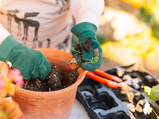 Brookdale Remington Park