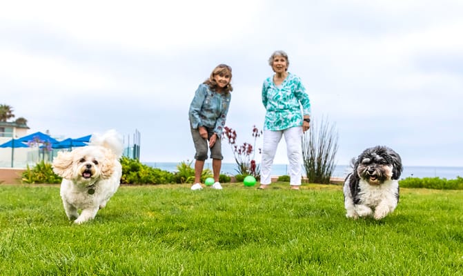White Sands La Jolla – Luxury Senior Living