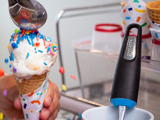 Brookdale Camino del Sol