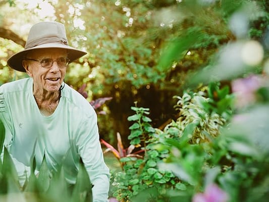 Brookdale Tarpon Springs