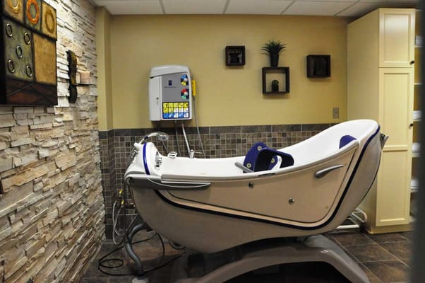 Hydrotherapy tub in a serene bathroom setting