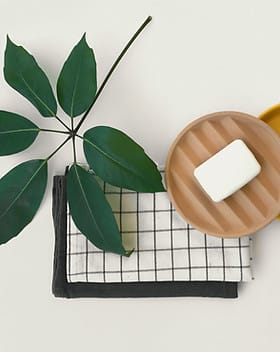 Biltmore Assisted Living