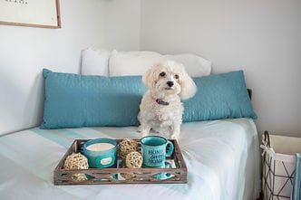 Biltmore Assisted Living