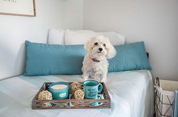 Biltmore Assisted Living