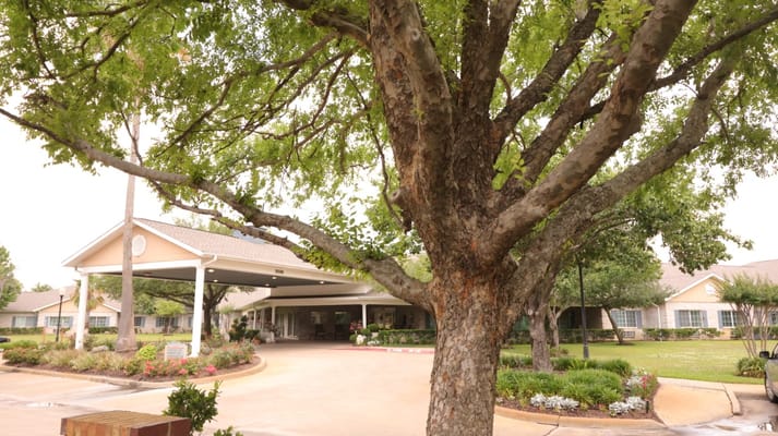 Entrance of a senior living facility with a large tree