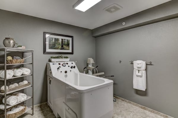 Spacious bathroom with a medical tub and towel storage.