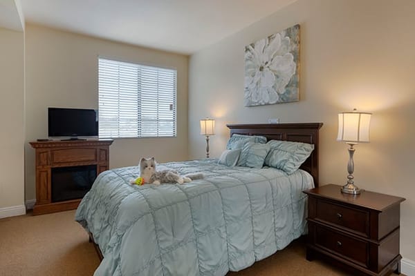 1 Bed