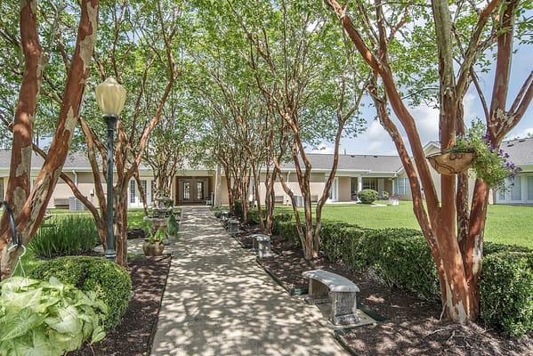Pathway lined with trees leading to the facility entrance