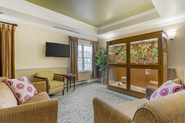 Bright common area with seating and a terrarium