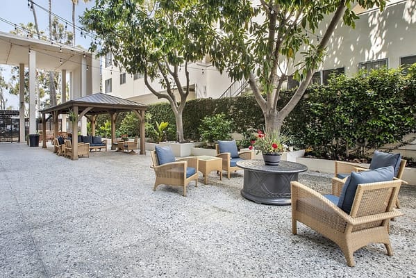 Outdoor seating area with gazebo and plants