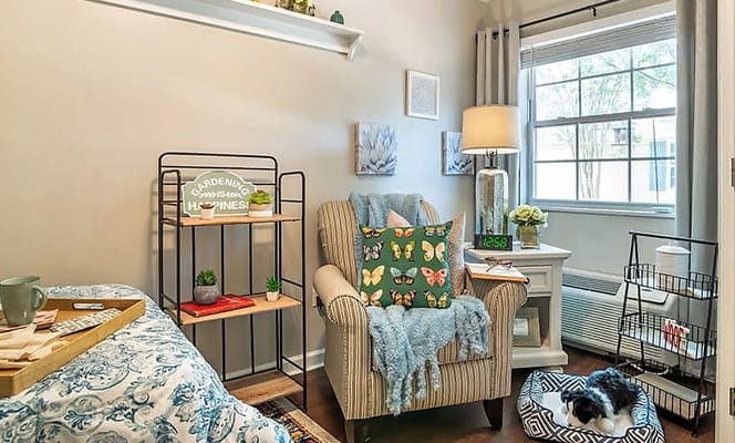 Shared Apartment