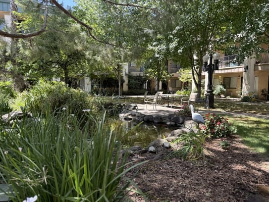 A serene garden area with a pond and seating
