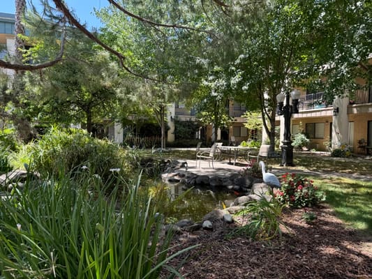 Beautiful outdoor garden with pond and seating area