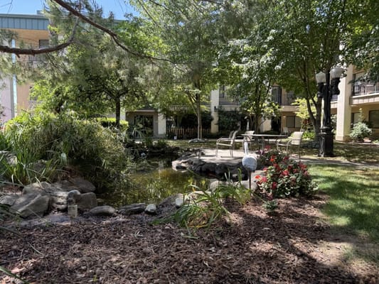 A serene garden area with a pond and seating