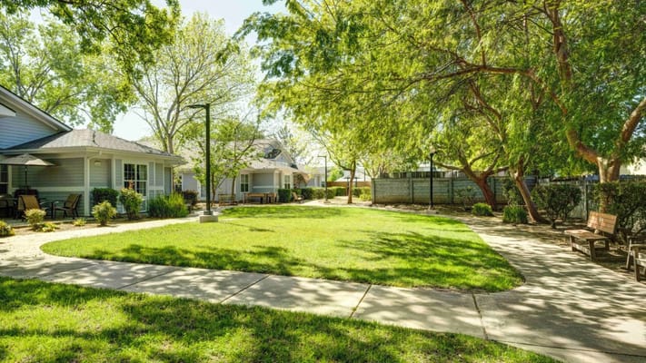 Outdoor space with walking paths and grassy areas