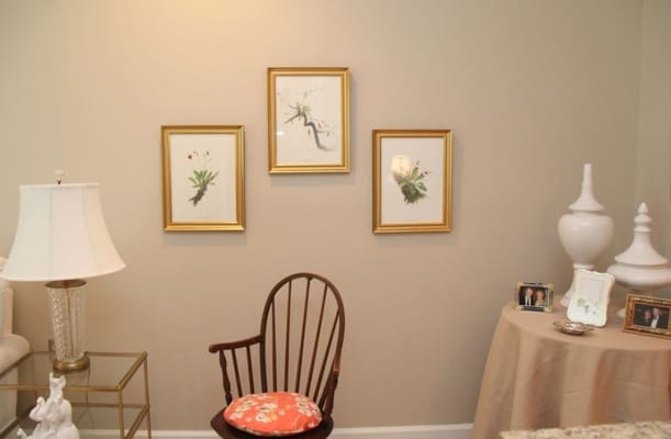 Cozy living room corner featuring framed botanical art and a wicker chair.