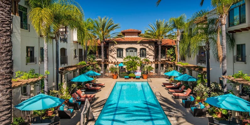 A bright pool area with lounge chairs and umbrellas surrounded by palm trees.