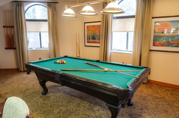 Interior view of a billiards table in a common area
