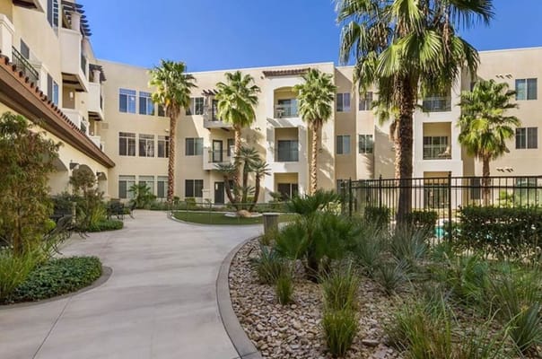 Garden area with palm trees and pathway