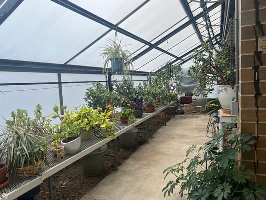 Interior greenhouse with various plants and seating