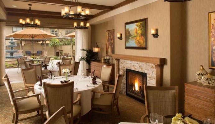 Elegant dining room with a fireplace and outdoor view