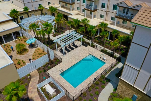 Aerial view of the outdoor pool surrounded by palm trees
