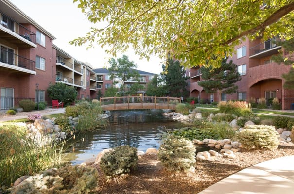 Lush outdoor space with a pond and bridge