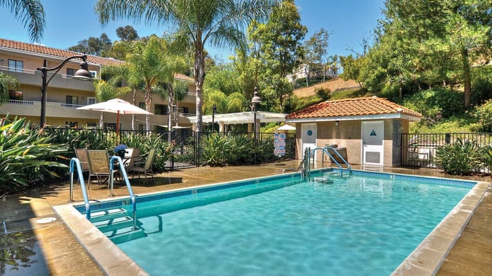 Pool area with palm trees and sun loungers