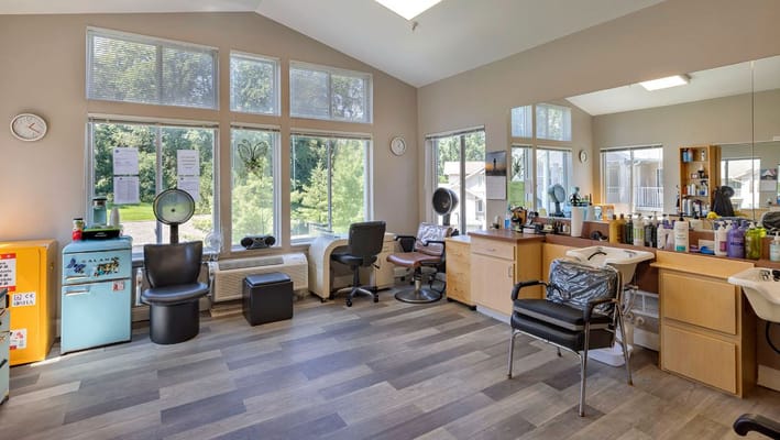 Bright hair salon area with windows and salon equipment